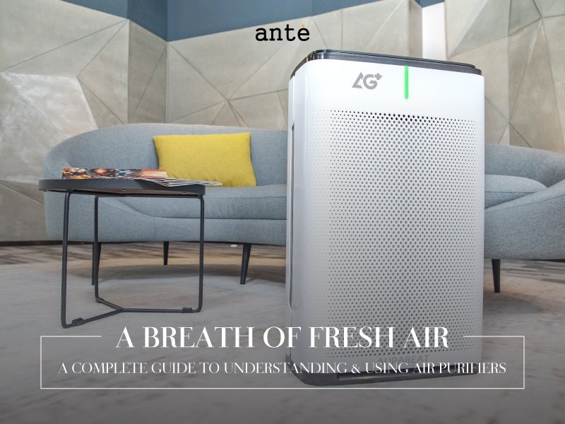 A Breath of Fresh Air - A Complete Guide to Understanding & Using Air Purifiers - Ante Shop