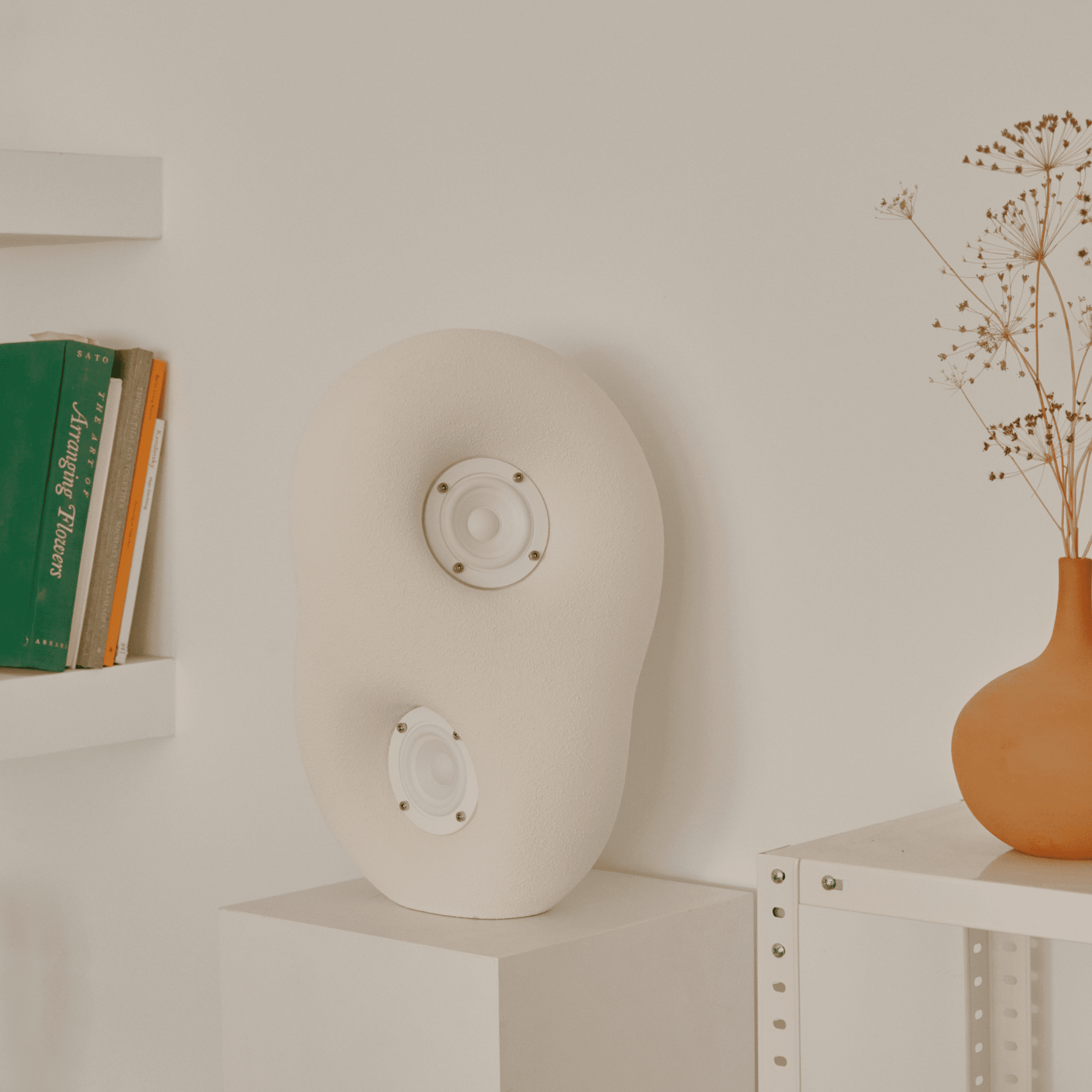 Transparent Acoustic Sculpture