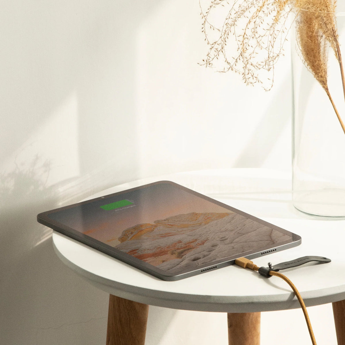 Native Union Belt Cable (USB - C to USB - C) - Ante ShopNATIVE UNIONCablesBELT - C - COS - 2 - LP