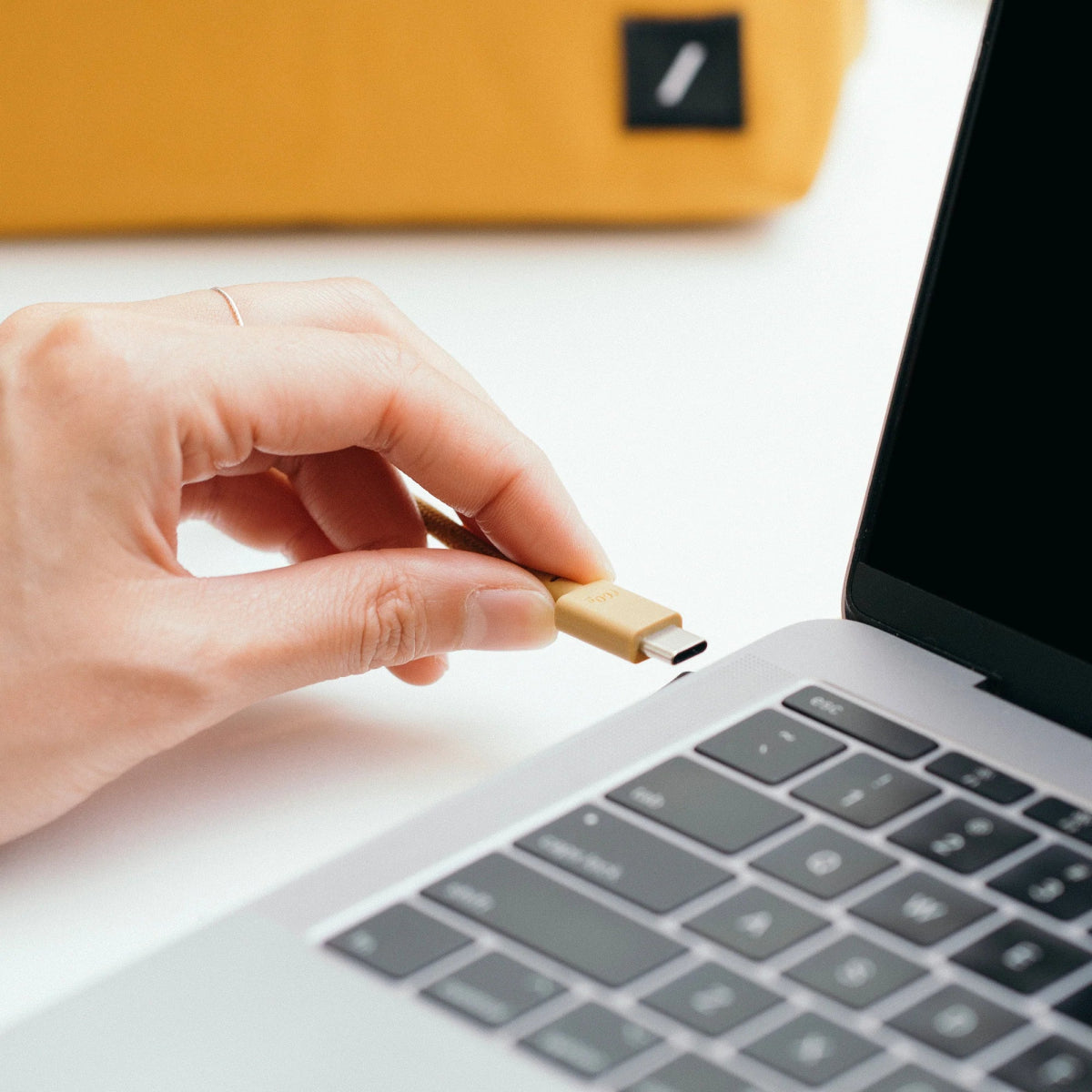 Native Union Belt Cable (USB - C to USB - C) - Ante ShopNATIVE UNIONCablesBELT - C - GRN - 2 - LP