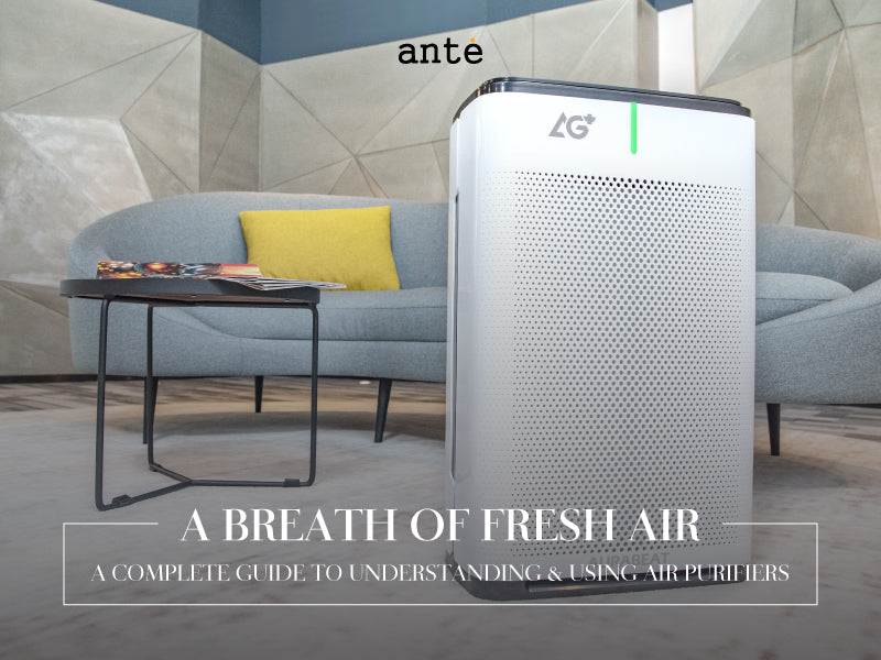 A Breath of Fresh Air - A Complete Guide to Understanding & Using Air Purifiers