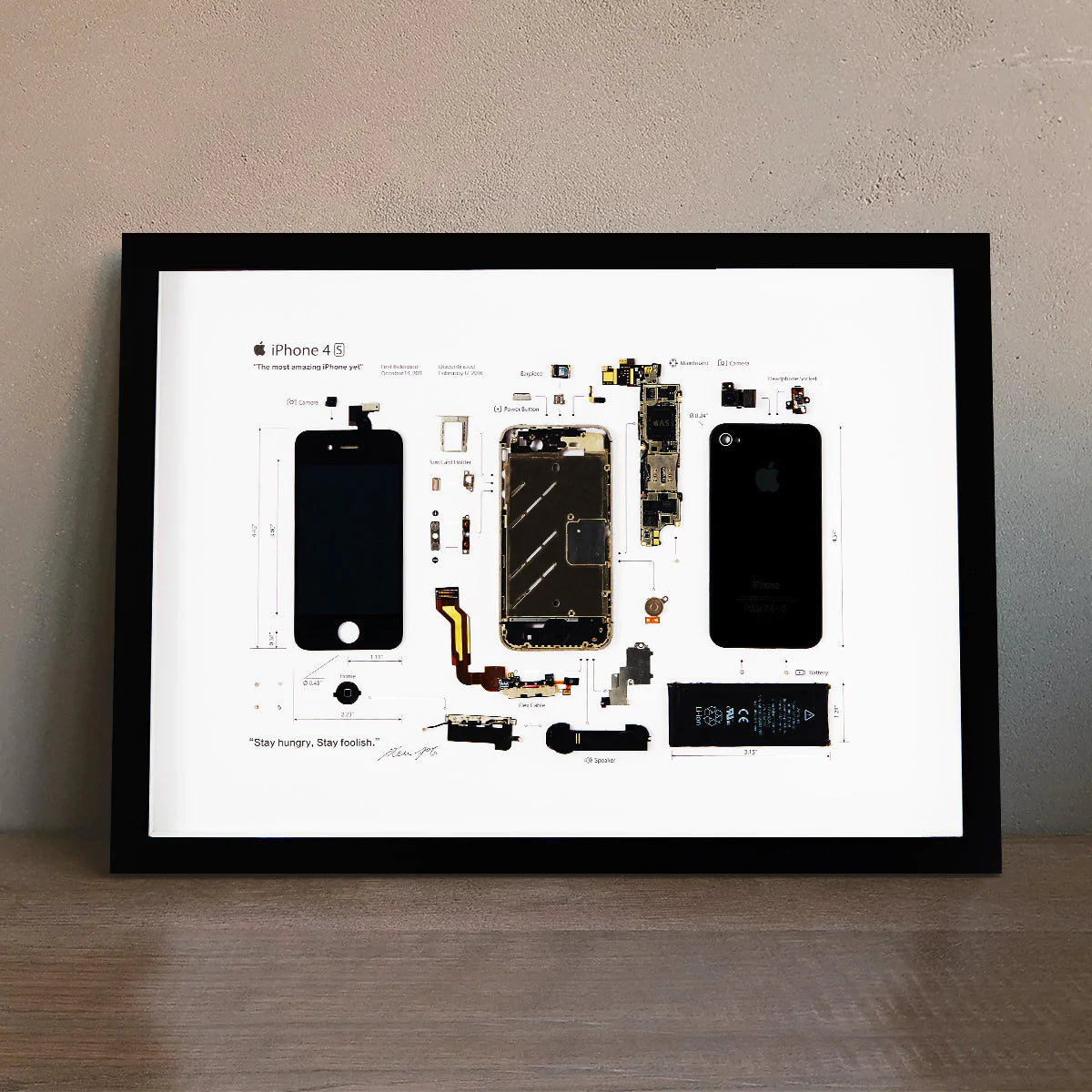 Xreart Deconstructed iPhone 4S Framed Artwork